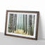 View of a Pine Tree Forest - Picture Frame Painting Print-55605006-55605011