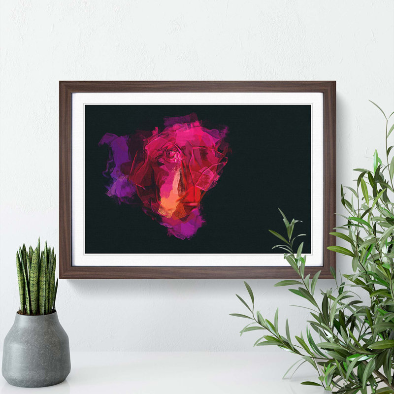 Rose in Pink & Purple in Abstract - Picture Frame Graphic Art Print, 60cm H x 91cm W x 2cm D, Walnut