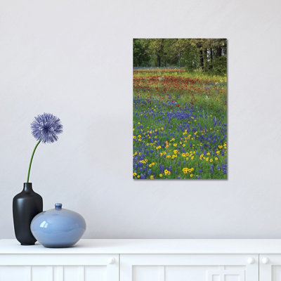 Sand Bluebonnet, Drummond's Phlox and Tickseed, Fort Parker State Park, Texas II 1 Piece Wrapped Canvas Wall Art
