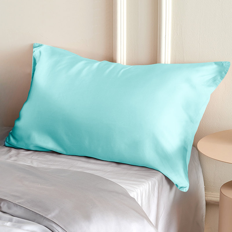 Taie d'oreiller zippée en soie de mûrier naturelle 19 mommes, housse de coussin double face en soie véritable pour les cheveux et la peau, vendue à l'unité - NTBAY
