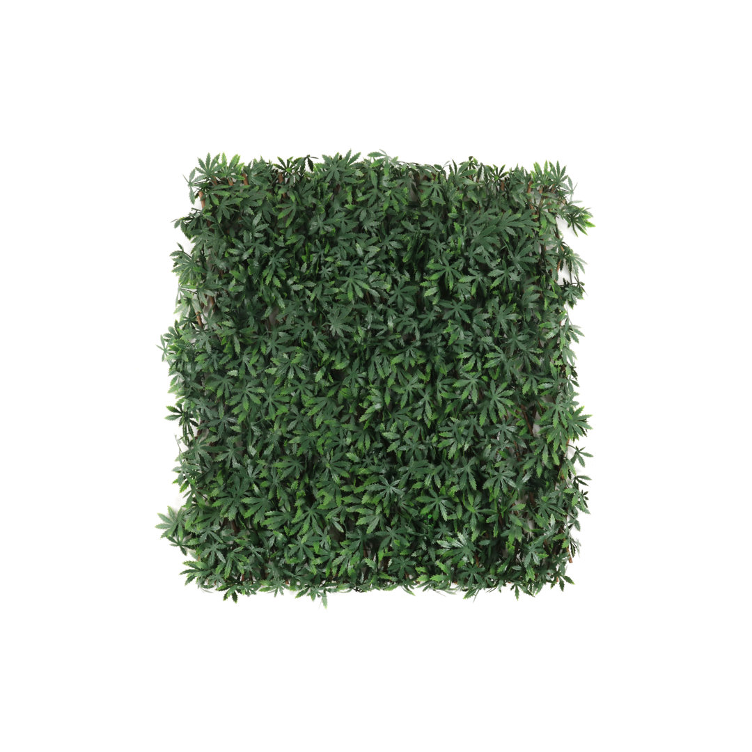 Annalicia 180Cm H x 60Cm W Plastic Expanding Trellis