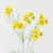 Yellow selected