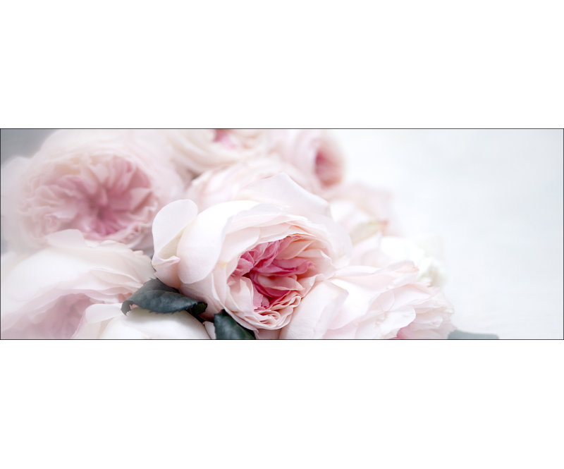 Pink Roses - No Frame Panoramic Print on Float Glass, 50cm H x 125cm W x 1.4cm D