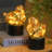 Delie Table Lamp