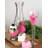 Peony 33.814oz. Glass Beverage Dispenser