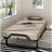 Delmar Twin Steel Daybed with Mattress