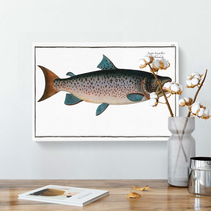 Male Salmon Fish by M.E. Bloch - Wrapped Canvas Print, 60cm H x 91cm W x 3cm D