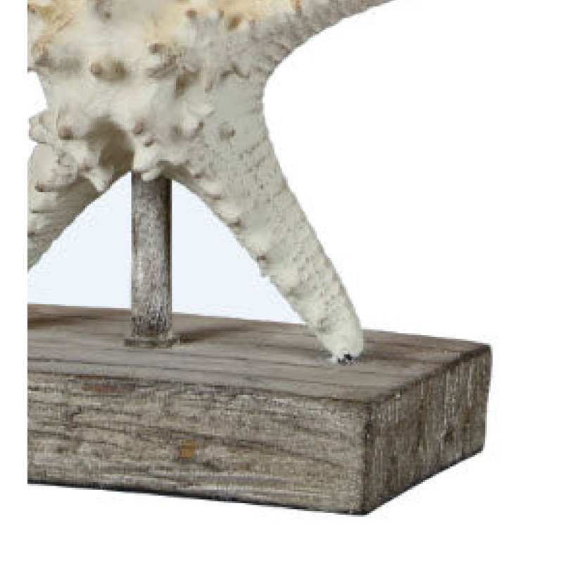 Randa Braylon 20.5" Gray Table Lamp