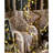 Rose Arrangement-1334272796