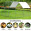 Adriell Walk In Chicken Run-905974993