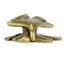 ARTS & CRAFT GINKGO KNOB IN PLATE-40648587
