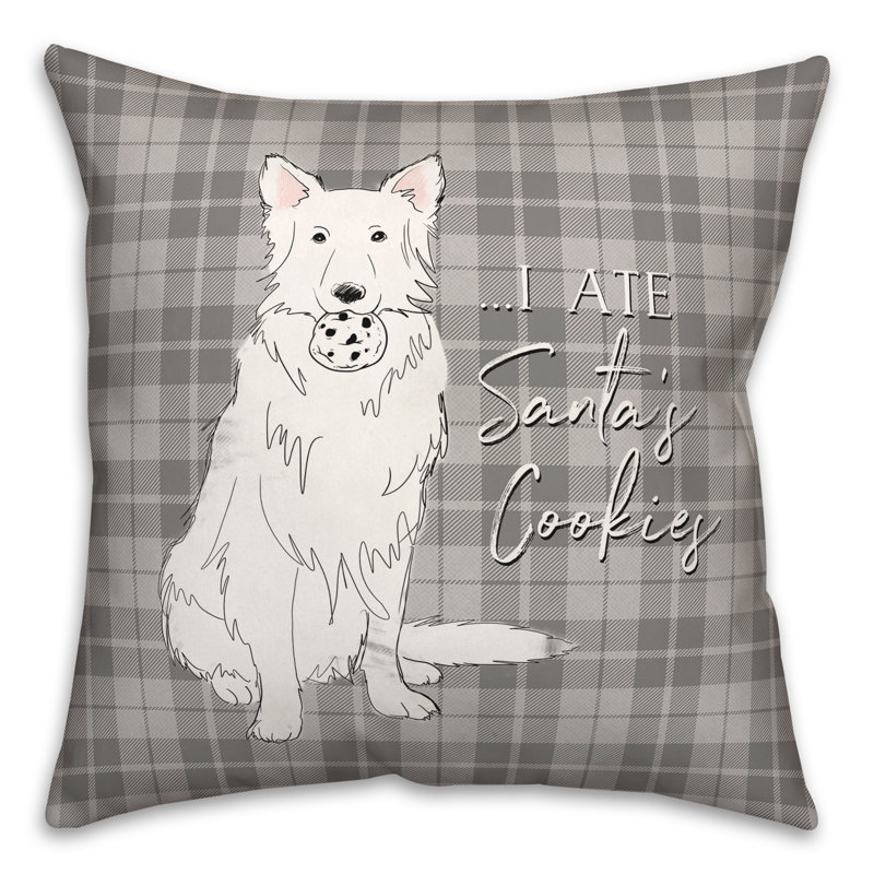 Plaid Throw Pillow