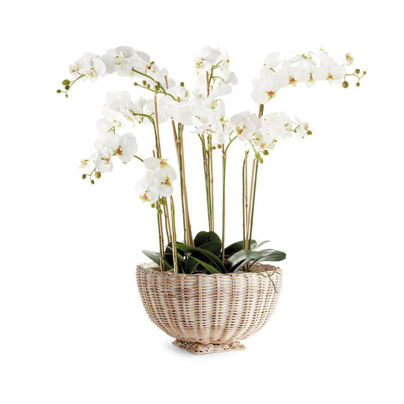 Charleston Handmade Rattan Decorative Bowl, 10" H x 18" W x 18" D, Whitewash