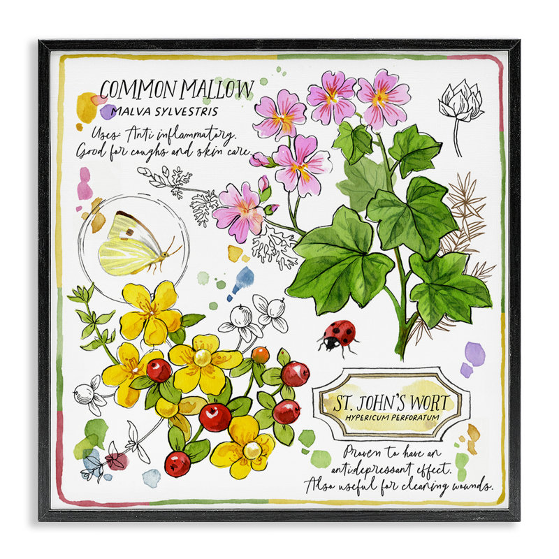 «Wild Herbs Avantages», estampe numérique encadrée de Jane Maday, H 12 po x l 12 po, Giclée encadrée noir minuit