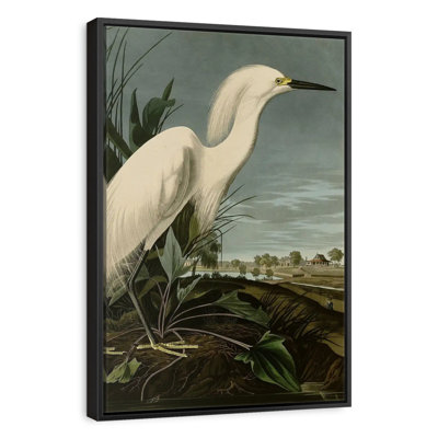 Héron enneigé ou aigrette blanche