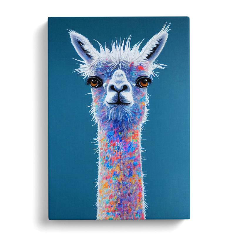 Llama - Wrapped Canvas, 50cm H x 35cm W x 3cm D