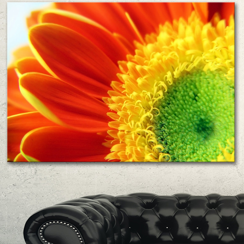 Gerber Daisy Flower Petals - reproduction de photo sur toile, H 14 po x l 22 po x P 1 po, Cadre flottant noir
