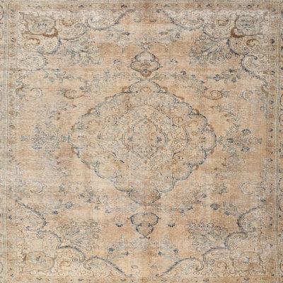 Wool Oriental Indoor Rug