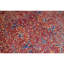 Hand Knotted Wool Oriental Area Rug in Red/Blue