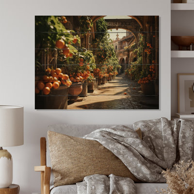 Kayzlee " Spain Seville Orange Trees "