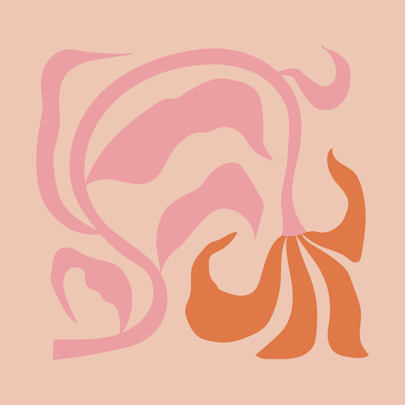 Tulipe, H 12 po x l 12 po