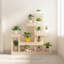 Anguri Plant Stand-80823196