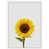Wrapped Canvas selected