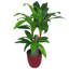 73cm Faux Plant in Pot Liner