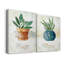Sauge en pot - ensemble de 2 peintures sur toiles-1781741569-1781741597