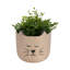 Pot à fleurs de 7 po Ophelia & Co., brun clair
