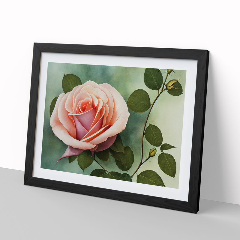 Distinguished Rose Flower - Single Picture Frame Painting, Black, 25cm H x 34cm W x 2cm D