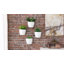 Nakke Wall Planter