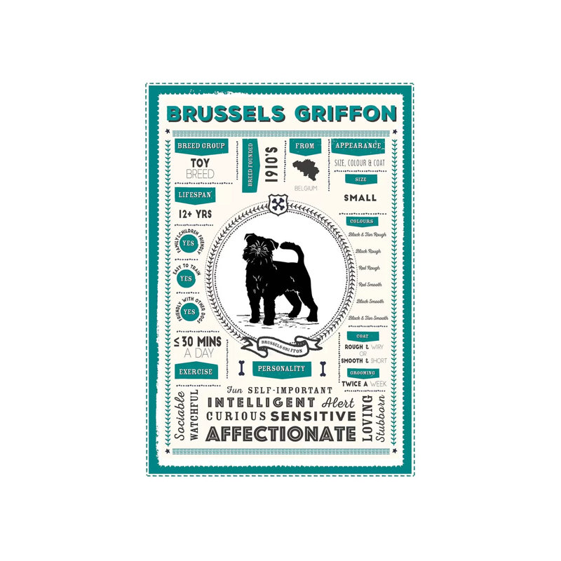 «Brussels Griffon Infographie Blue» par PaperPaintPixels, impression sur toile tendue, H 26 po x l 18 po x 1,5 po