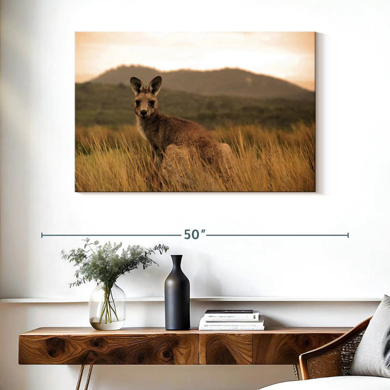 Brampt Wild Kangaroo