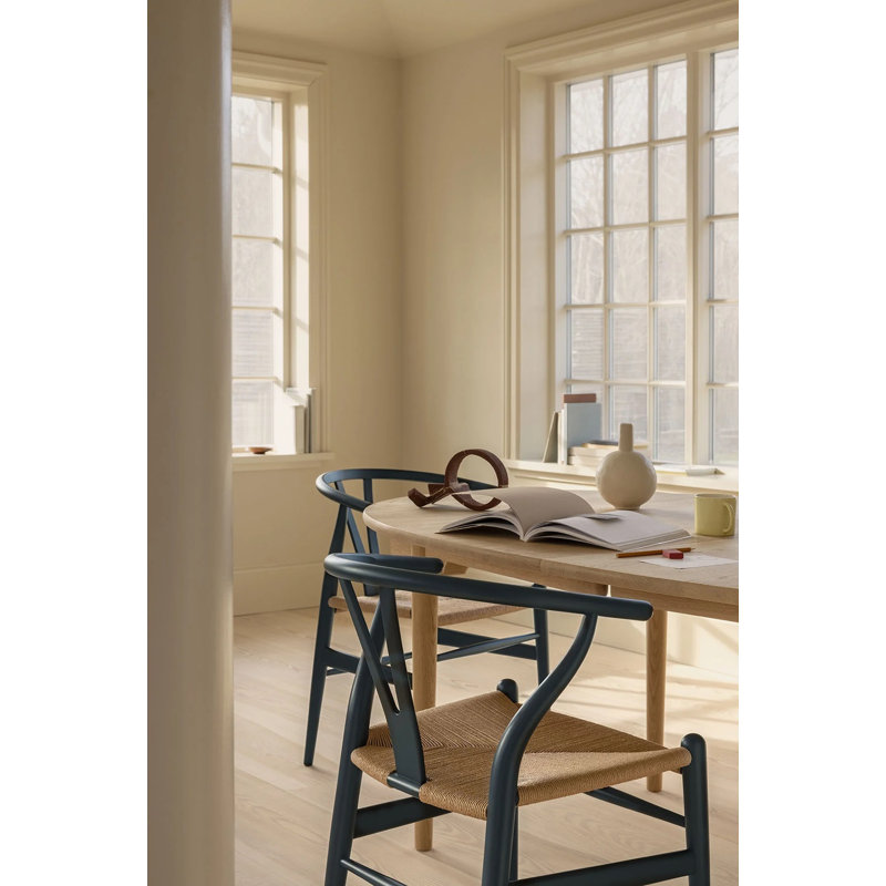 Chaise de salle à manger bleue