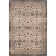 Tuthill Performance Oriental Rug