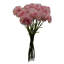 Plastic, Silk Artificial Arrangement-88685013