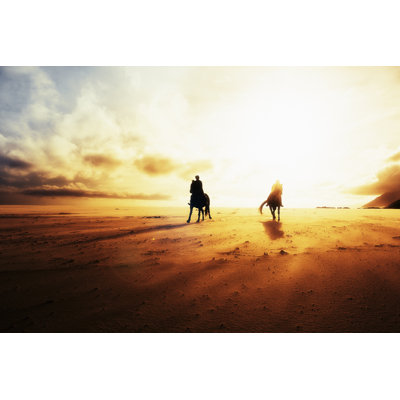 Silhouette silhouette de soleil couchant par Rapideye
