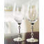 White Wine Glass