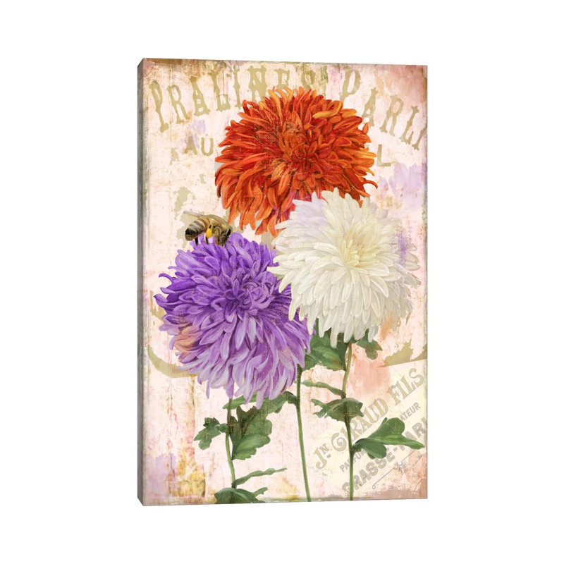 Chrysanthemums by Color Bakery - Wrapped Canvas Print