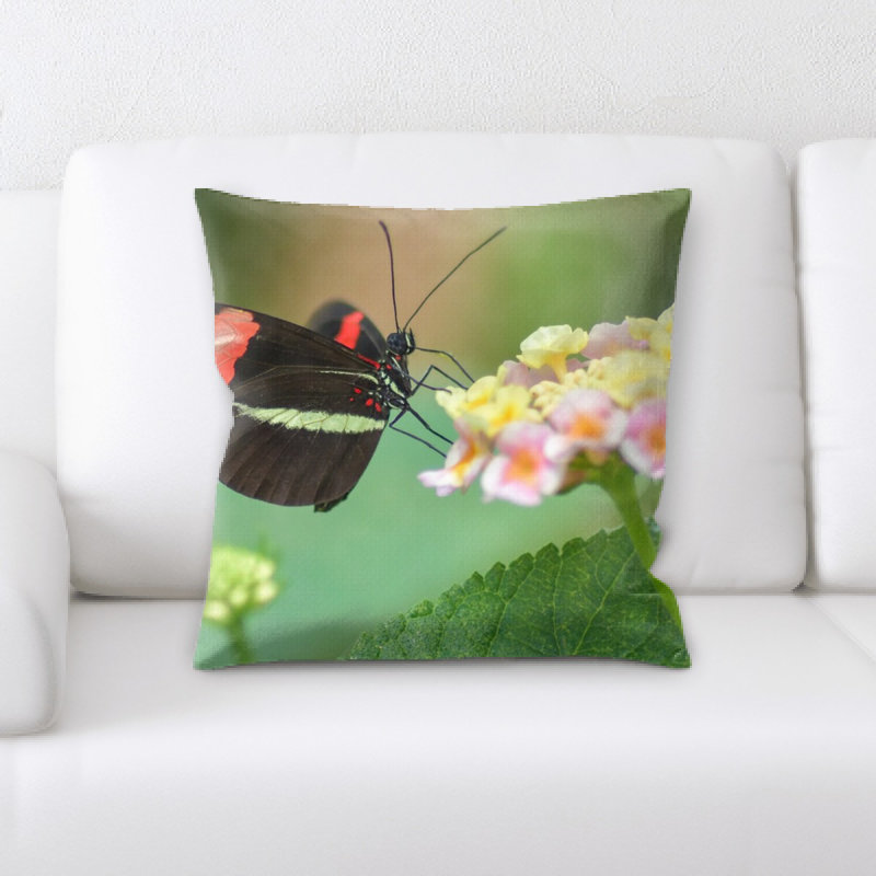 Coussin décoratif papillon