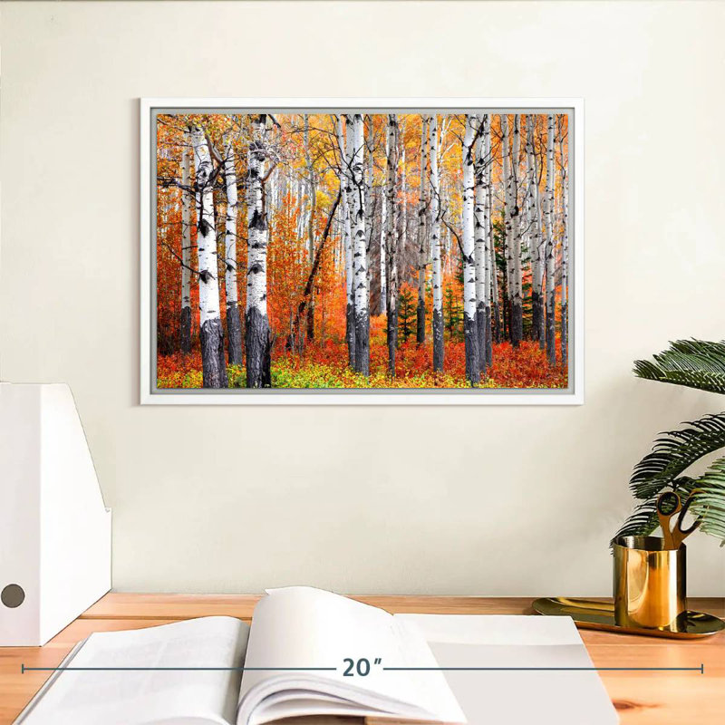 Forêt de trembles de Banff, Cadre flottant blanc, 13 po x 9 po
