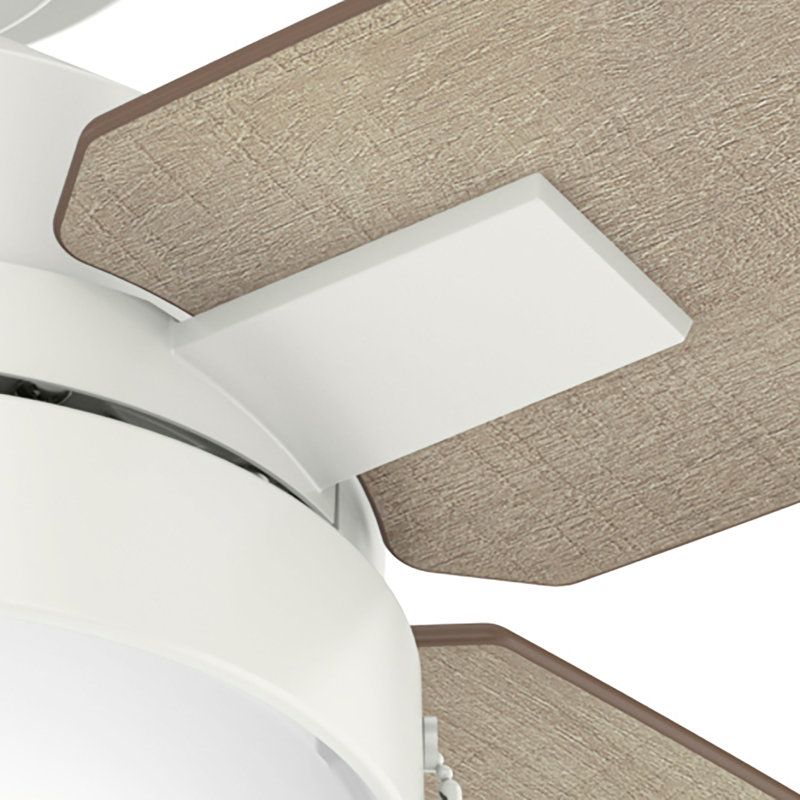 54" Castlehill 4 - Blade LED Standard Ceiling Fan With Light Kit Included