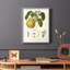 Vintage Pears I, reproduction encadrée - bois massif-398909214-398909408