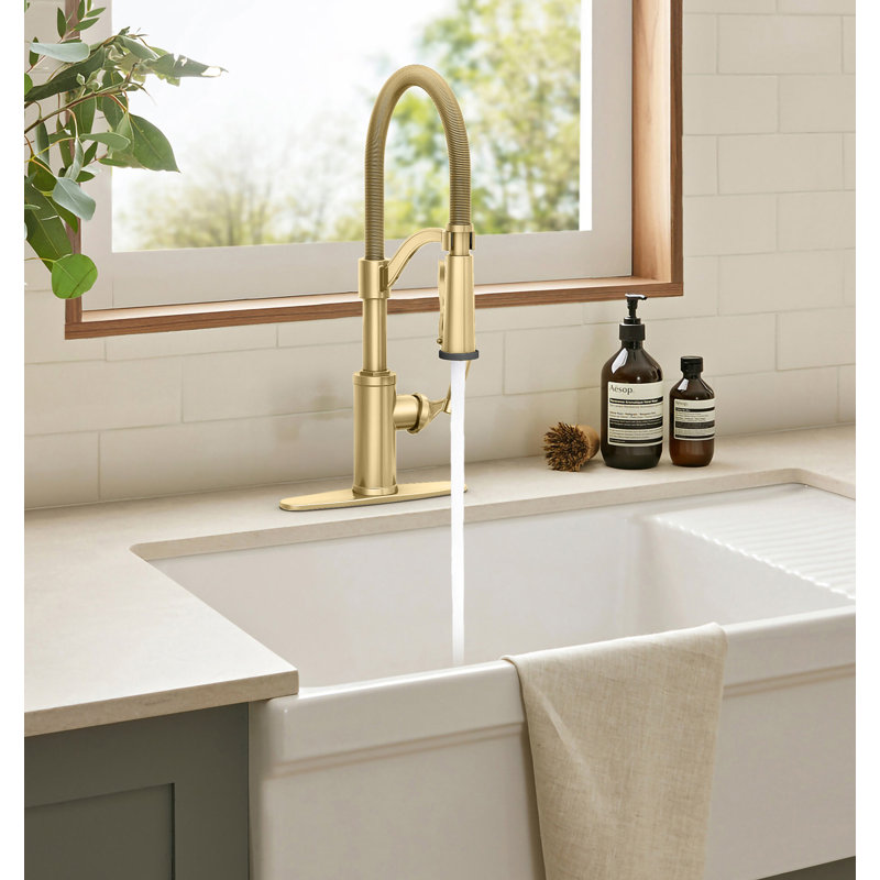 Vetta Pull Out Kitchen Faucet, Gold