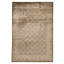 Oriental Area Rug in Brown