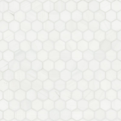 Carrelage mural et mosaïque en marbre poli Calabria Frost Hexagon 12 po x 13 po