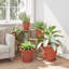Round Flower Pot 6 Pcs Plastic-465710593-465710650