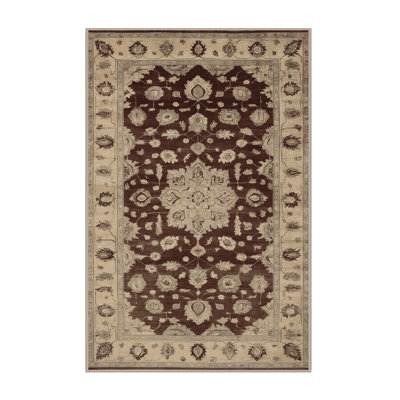Machine Washable Overdyed Brown Area Rug