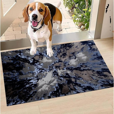 Area Rug
